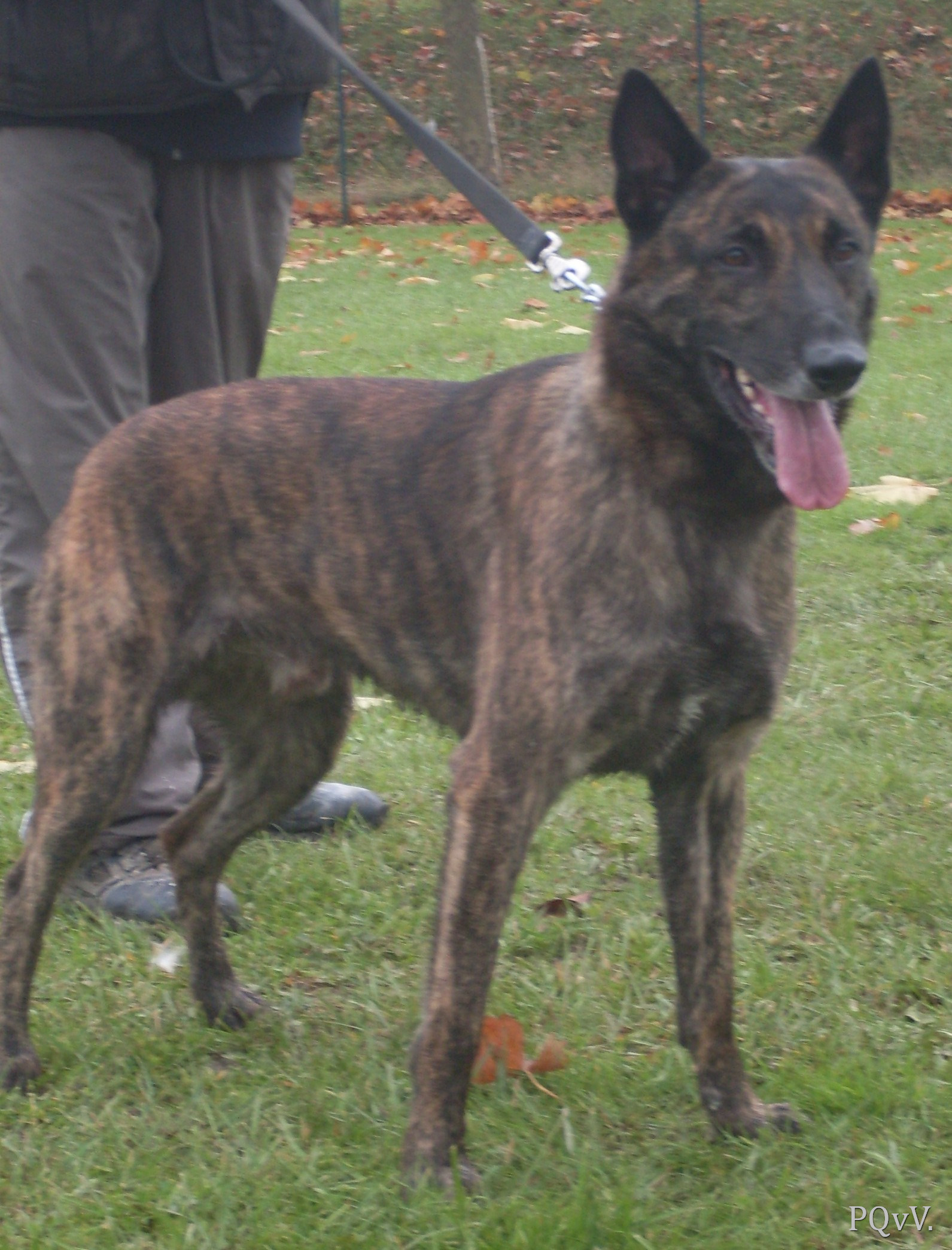  Darwin of Saint John’s